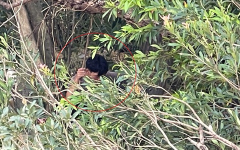 Nam thanh niên sống sót kỳ diệu sau 9 ngày bị nước lũ cuốn trôi