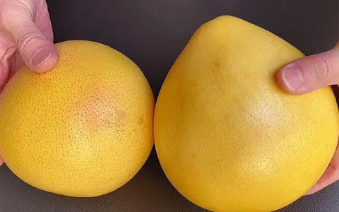 Muốn biết bưởi ngọt hay không chỉ cần để ý 5 điểm này