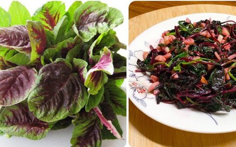 Rau dền có tác dụng gì với sức khoẻ?