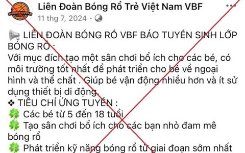 Đăng ký học bóng rổ cho con trên mạng, người phụ nữ ở Hà Nội bị lừa 1,1 tỷ đồng