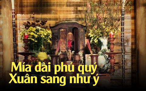 “Cây bất tử” được người Mường thờ phụng để lấy may cho năm mới, nếu mua vào mùng 1 Tết thì tuyệt đối không làm điều này