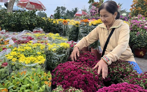 Chợ hoa Tết giá 'mềm' hút khách có thu nhập thấp