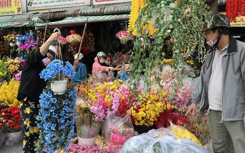 Hoa trái 'bất tử' đắt hàng ngày Tết