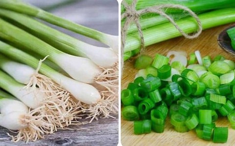 Những người nên thường xuyên ăn hành lá