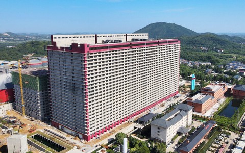 Cuộc sống "thượng lưu" của 25.000 chú heo giữa thành phố: Ở chung cư 26 tầng, đi thang máy, ăn uống bằng băng chuyền