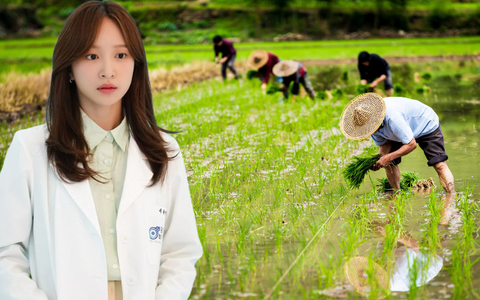 Bí mật điều tra lai lịch nữ bác sĩ mà con trai muốn cưới, người mẹ giàu có đùng đùng bắt huỷ hôn, netizen: Cô gái ơi, ông trời đang bảo vệ cô đó!