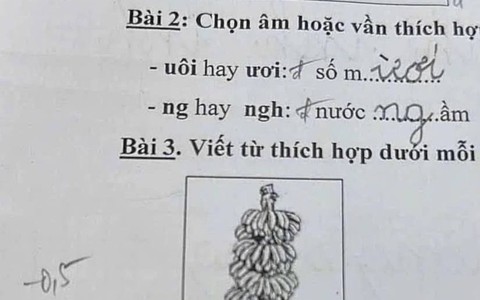 Chấm bài học sinh lớp 1, giáo viên vội vàng tìm thuốc đau đầu để uống: Gen Alpha cỡ này, Gen Z không có tuổi!