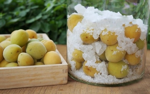 Loại quả đầy lông nhưng được ví như "vị thuốc mùa xuân", ở Việt Nam có cực nhiều
