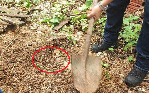 Brazil: Sát hại bà bầu 9 tháng rồi chôn xác ở vườn nhà, người phụ nữ khai nhận tội ác: Hé lộ động cơ khó tin!