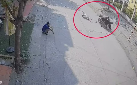 Học sinh lớp 10 đi xe máy tông văng bé gái 8 tuổi ở Quảng Ninh