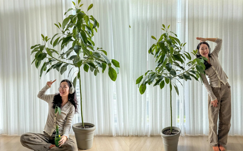Ăn bơ xong lười vứt hạt nên vùi xuống đất, lúc đầu tưởng đùa vui ai dè hiệu quả bất ngờ!