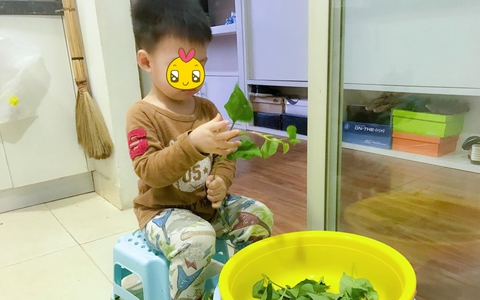Từ vụ "kẹo rau", MC VTV: "Nên 'huấn luyện' con ăn rau vì không có đường tắt nào thay thế thực phẩm tự nhiên"
