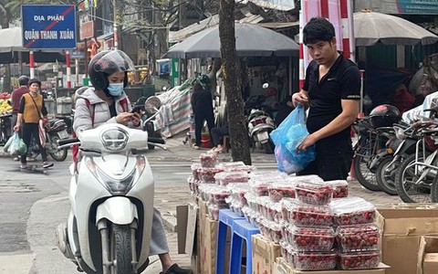 Dâu tây 'rẻ như bèo' tràn ngập Hà Nội