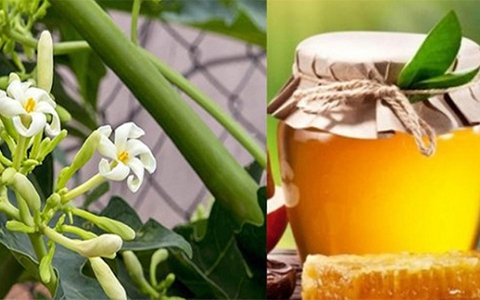 Cách làm hoa đu đủ đực ngâm mật ong