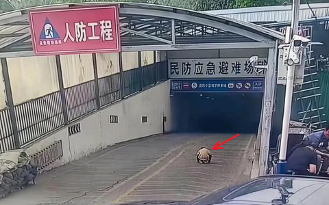 Ông nội đón cháu trai tan học nhưng lại không về thẳng nhà, camera ghi lại khoảnh khắc kinh hoàng