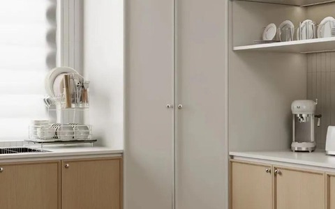 Thứ cất giấu sau cánh cửa tủ "bí mật" của nhà đồng nghiệp, tôi kinh ngạc thốt lên 3 chữ...