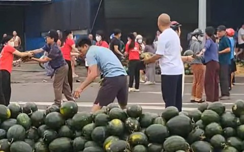 VIDEO: Người dân xếp hàng thu gom, “giải cứu” dưa hấu khi xe tải gặp nạn