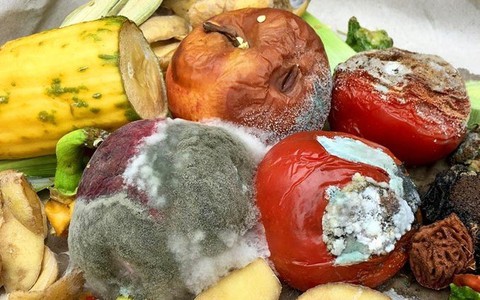 Thực phẩm mốc chỉ cần vứt bỏ hay cắt phần hỏng là vẫn dùng được? Những dấu hiệu nhận biết không phải ai cũng rõ
