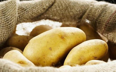 Rắc 1 nắm thứ này vào khoai tây, để cả năm không thối hay mọc mầm