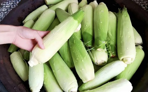 Bí quyết "4 từ" của đầu bếp khi luộc ngô giúp ăn ngọt và dẻo gấp trăm lần cách bạn vẫn hay làm!