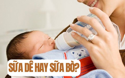Chọn sữa cho con: 3 điều mẹ cần biết trước khi cho trẻ uống sữa dê