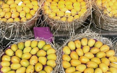 Loại quả của Việt Nam được khen 'ngon nhất thế giới': Trung Quốc, Nhật, Mỹ, EU đều mê, thu về nghìn tỷ
