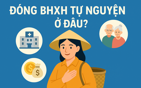 Không đi làm công ty thì đóng BHXH tự nguyện ở đâu? Mức đóng và quyền lợi thế nào?