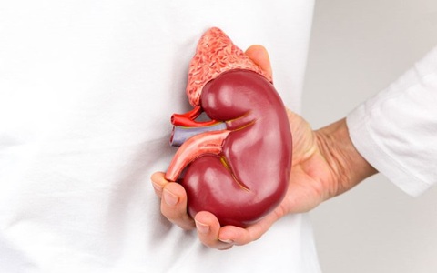 Suy thận ngày càng xuất hiện nhiều ở người trẻ: BS chỉ rõ thủ phạm hàng đầu gây bệnh