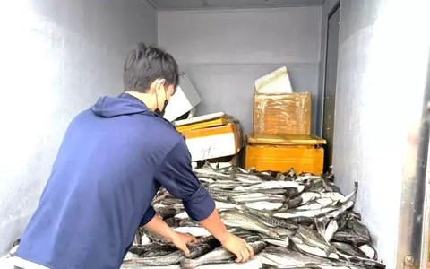 Mưa lũ tại miền Trung diễn biến phức tạp: Cá nuôi chết hàng loạt, người dân mất tiền tỷ