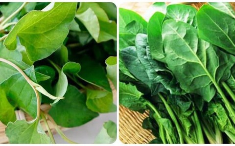 5 loại rau quả thải độc gan tự nhiên