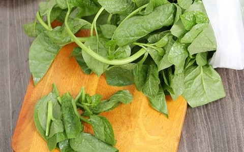 Nhóm người không nên ăn rau mồng tơi