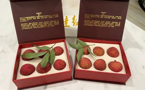 Có gì trong quả vải thiều giá lên tới gần 2 tỷ đồng, người có tiền cũng chưa chắc mua được?
