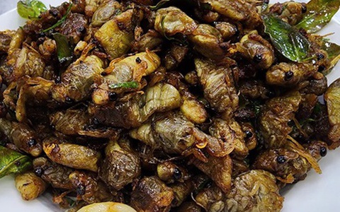 Nam thanh niên nguy kịch sau khi ăn ve sầu