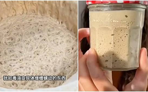 Lười nhưng thích 'chữa lành', giới trẻ Trung Quốc nuôi nấm men làm thú cưng