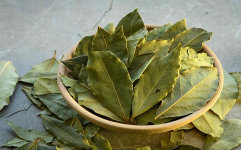 Loại lá dân dã ở Việt Nam lại có giá 2 triệu đồng/kg ở Mỹ: Là dược liệu quý, tiềm năng phòng ung thư