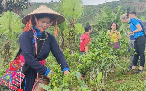 Người phụ nữ Tày 6 năm giữ ruộng làm du lịch bỗng nổi tiếng nhờ show thực tế liên tục lọt top trending, nhận bằng khen của tỉnh Lào Cai