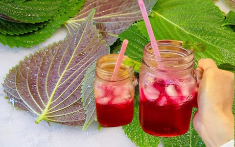 Loại lá trong vườn có tác dụng trị nám, làm sáng da nhanh chóng: Mùa hè có thể dùng để uống hoặc đắp mặt nạ