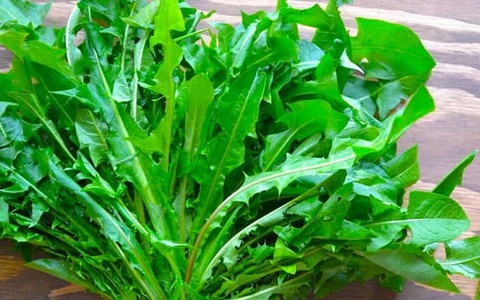 5 món ăn 'nuôi' hệ tiêu hóa khỏe như uống probiotic!