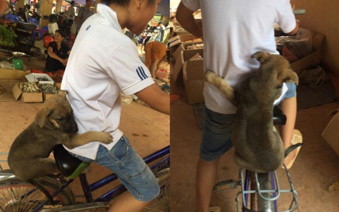 Bức ảnh "Cún ơi đi trốn với anh" đáng yêu hết mức khiến dân mạng tim rung rinh
