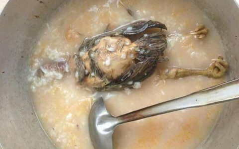 Sự thật nồi cháo gà nguyên lông đủ móng các ông chồng đem ra chê vợ, các bà vợ nhận vơ do chồng mình nấu