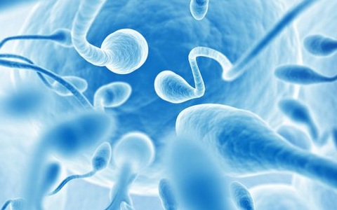 Phát hiện mới: Sử dụng tinh trùng để điều trị bệnh ung thư ở nữ giới