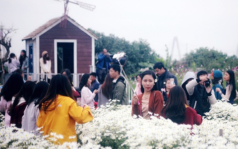 Rét mướt, tắc đường, đông đến nghẹt thở, nghìn người vẫn tạo dáng bên vườn cúc họa mi