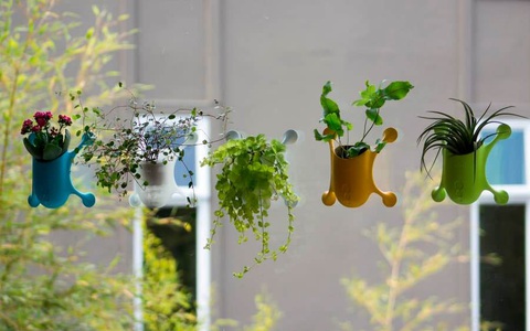 Những "nông dân thành phố" sẽ thích mê chậu cây treo Livi vừa xinh xắn vừa tiết kiệm diện tích