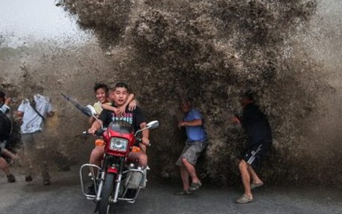 Tuyển tập những pha tham gia giao thông khiến người xem cười muốn bể bụng