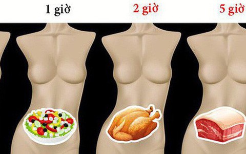 Mất bao lâu để tiêu hóa hết thực phẩm ăn hàng ngày?