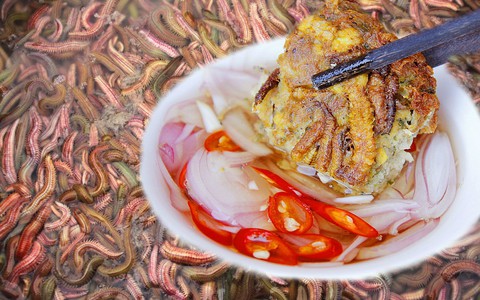 Giải đáp về con rươi - đặc sản mùa thu tại miền Bắc: Giá trị dinh dưỡng thế nào và có độc không
