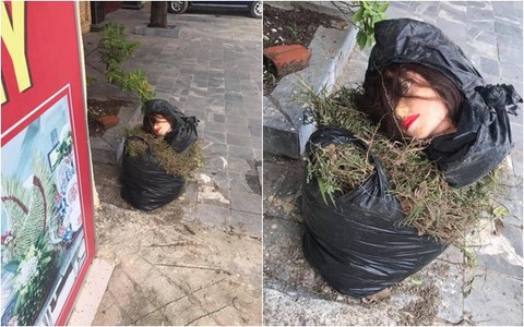 Sang đông gió lạnh run người, ra cửa nhà bỗng toát cả mồ hôi vì bắt gặp đôi mắt từ trong túi rác