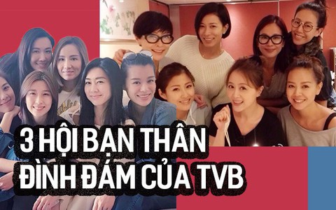 Hội tỷ muội thâm giao TVB: "Hội bà 8" có Hồ Hạnh Nhi hạnh phúc viên mãn, "Thất tỷ muội" có Xa Thi Mạn quyền lực nhất nhì showbiz