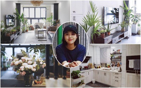 Chán căn hộ cũ, cô gái trẻ mạnh dạn tự cải tạo, biến căn hộ thành "khu vườn" trong lành