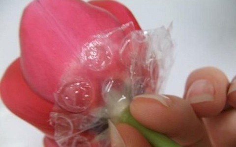 7 mẹo vặt và thủ thuật giúp bạn cắm hoa đẹp, hóa nữ công gia chánh trong mắt mọi người